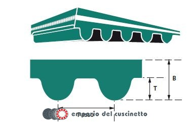 Cinghia Dentata HTD 8M - Lunghezza 960 Mm, Larghezza 50 Mm